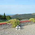 Cavazzone