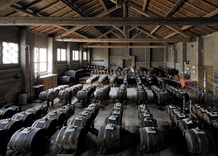 팜스테이 Cavazzone *