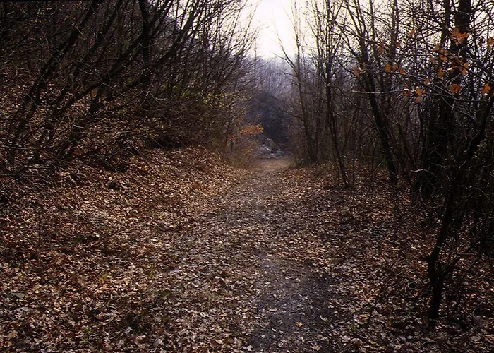 Cavazzone 레그나노