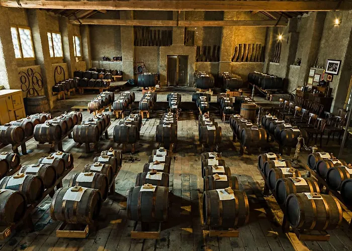 Cavazzone 레그나노