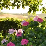 Gospodarstwo agroturystyczne Cavazzone Regnano (Reggio Emilia)