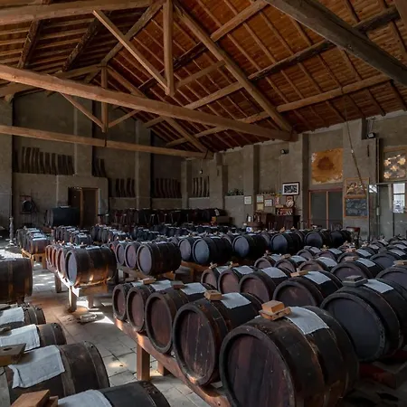 Agriturismo Cavazzone *