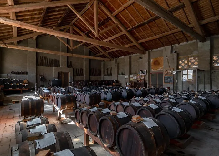 Agriturismo Cavazzone *