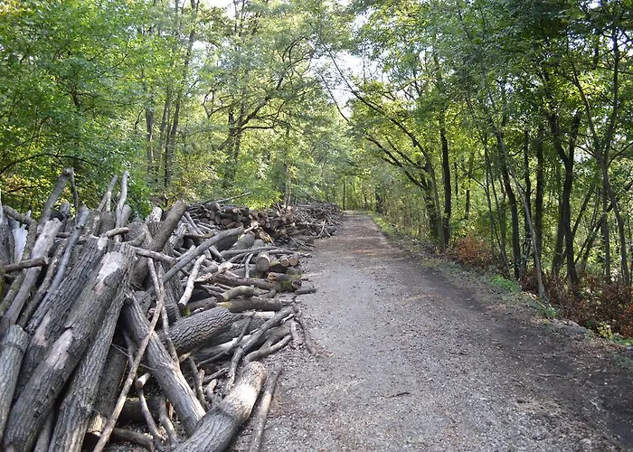 مزرعة للإقامة Cavazzone *